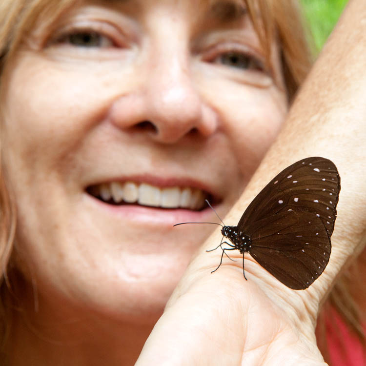 Karen and a Malayan Crow (Euploea camaralzeman scudderi)